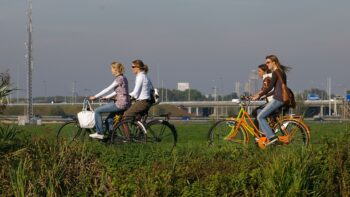 Permalink naar: Foto’s